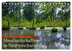 Niedersachsens Moorlandschaften - Das Pietzmoor, Schneverdingen (Tischkalender 2024 DIN A5 quer), CALVENDO Monatskalender