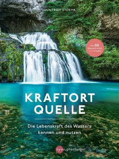 Kraftort Quelle - Stoehr, Guntram