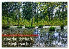 Niedersachsens Moorlandschaften - Das Pietzmoor, Schneverdingen (Wandkalender 2024 DIN A2 quer), CALVENDO Monatskalender