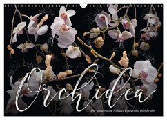 Orchidea (Wandkalender 2024 DIN A3 quer), CALVENDO Monatskalender - Calvendo;Bruhn, Olaf