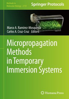 Micropropagation Methods in Temporary Immersion Systems