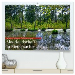 Niedersachsens Moorlandschaften - Das Pietzmoor, Schneverdingen (hochwertiger Premium Wandkalender 2024 DIN A2 quer), Kunstdruck in Hochglanz