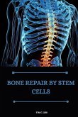 Bone repair by stem cells