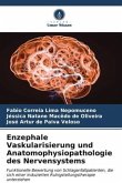 Enzephale Vaskularisierung und Anatomophysiopathologie des Nervensystems