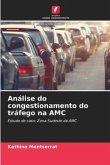 Análise do congestionamento do tráfego na AMC