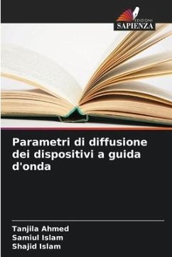 Parametri di diffusione dei dispositivi a guida d'onda - Ahmed, Tanjila;Islam, Samiul;Islam, Shajid