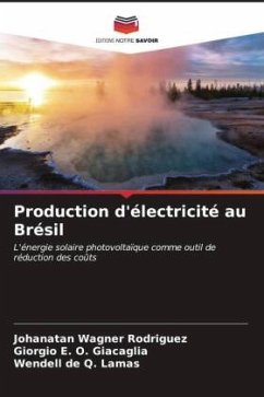 Production d'électricité au Brésil - Rodriguez, Johanatan Wagner;Giacaglia, Giorgio E. O.;Lamas, Wendell de Q.