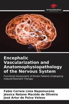 Encephalic Vascularization and Anatomophysiopathology of the Nervous System - Correia Lima Nepomuceno, Fabio;Oliveira, Jéssica Natane Macêdo de;Veloso, José Artur de Paiva