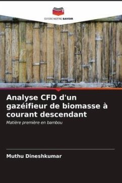 Analyse CFD d'un gazéifieur de biomasse à courant descendant - Dineshkumar, Muthu