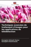 Techniques avancées de traitement d'images pour les applications de télédétection