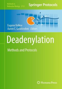 Deadenylation (eBook, PDF)