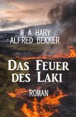 Das Feuer des Laki: Roman (eBook, ePUB)