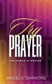Try Prayer (eBook, ePUB)