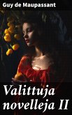 Valittuja novelleja II (eBook, ePUB)