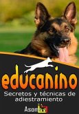 Educanino (eBook, ePUB)