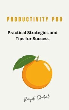 Cover Productivity Pro (eBook, ePUB)