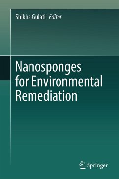 Nanosponges for Environmental Remediation (eBook, PDF)