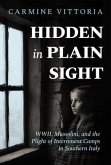 Hidden in Plain Sight (eBook, ePUB)