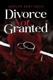 Divorce Not Granted (eBook, ePUB)