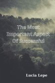 The Most Important Aspect Of Successful (eBook, ePUB)