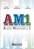 AM1 Analisi Matematica 1 (eBook, ePUB)