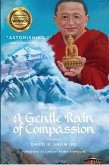 A Gentle Rain of Compassion (eBook, ePUB)