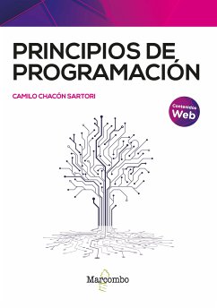 Principios de programación (eBook, ePUB) - Chacón Sartori, Camilo