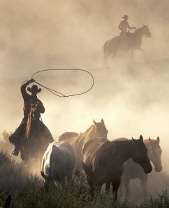 Cover Kid Turner (eBook, ePUB)