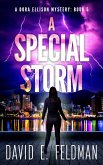 A Special Storm (Dora Ellison Mystery Series, #5) (eBook, ePUB)