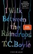 I walk between the Raindrops. Storys... - Bild 1