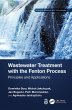 Wastewater Treatment with the Fenton... - Bild 1