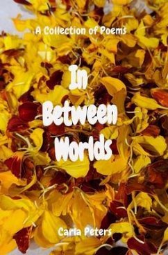 Cover In Between Worlds (eBook, ePUB)