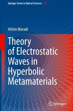 Theory of Electrostatic Waves in Hyperbolic Metamaterials - Moradi, Afshin