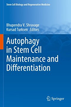 Autophagy in Stem Cell Maintenance and Differentiation