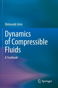 Dynamics of Compressible Fluids - Girin, Oleksandr