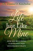 A Life Just Like Mine (eBook, ePUB)