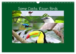 Some Costa Rican Birds (Wall Calendar 2024 DIN A3 landscape), CALVENDO 12 Month Wall Calendar