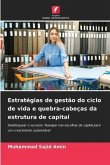 Estratégias de gestão do ciclo de vida e quebra-cabeças da estrutura de capital