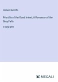 Priscilla of the Good Intent; A Romance of the Grey Fells