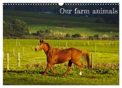 Our farm animals (Wall Calendar 2024 DIN A3 landscape), CALVENDO 12 Month Wall Calendar