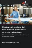 Strategie di gestione del ciclo di vita e puzzle della struttura del capitale