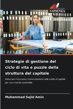 Strategie di gestione del ciclo di vita e puzzle della struttura del capitale - Amin, Muhammad Sajid