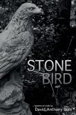 Stone Bird