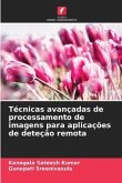 Técnicas avançadas de processamento de imagens para aplicações de deteção remota