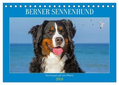 Berner Sennenhund - Ein Freund auf vier Pfoten (Tischkalender 2024 DIN A5 quer), CALVENDO Monatskalender