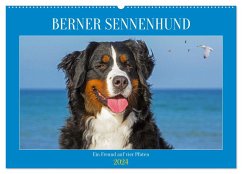Berner Sennenhund - Ein Freund auf vier Pfoten (Wandkalender 2024 DIN A2 quer), CALVENDO Monatskalender