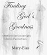 Finding God's Goodness (eBook, ePUB) - Bild 1