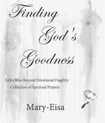 Finding God's Goodness (eBook, ePUB)