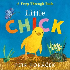 Little Chick - Horácek, Petr