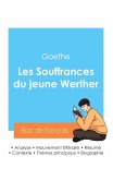 Réussir son Bac de français 2024 : Analyse des Souffrances du jeune Werther de Goethe